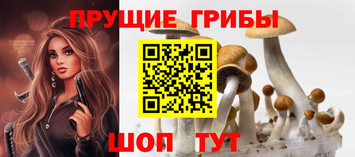 Псилоцибиновые грибы MAGIC MUSHROOMS  Вход с VPN  Псилоцибиновые грибы GOLDEN TEACHER  Богородск 