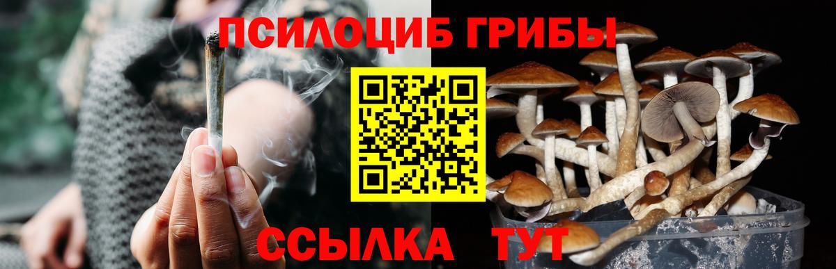 Псилоцибиновые грибы мицелий Богородск